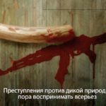 Russian Subtitling UN