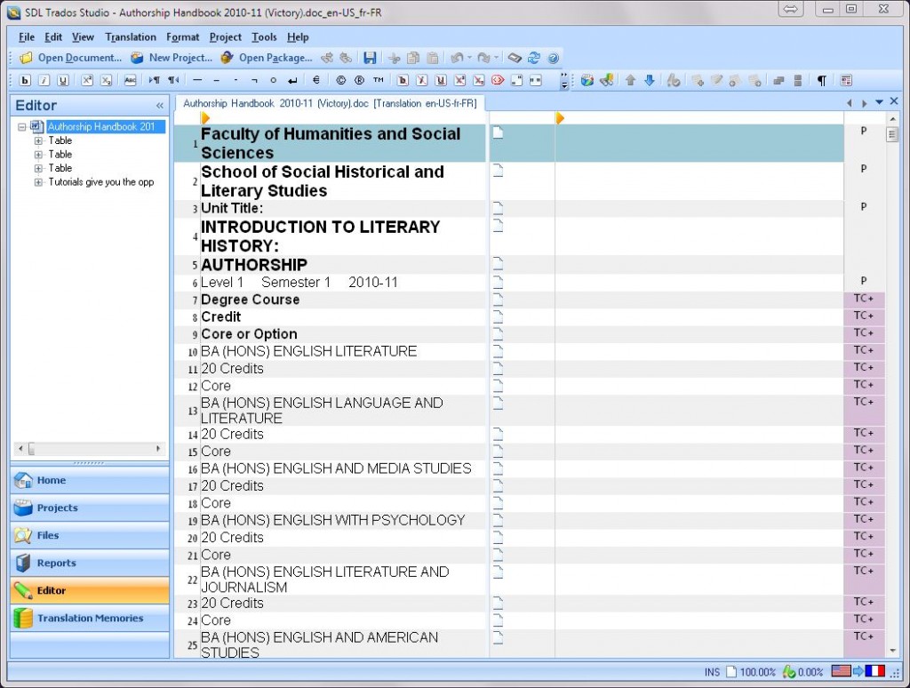 Translation Memory Software showing segmentation