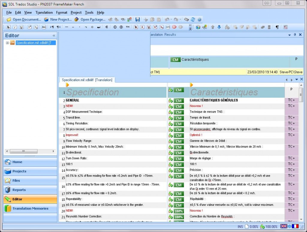 Translation Memory showing translated segments